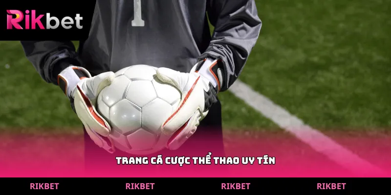 trang cá cược thể thao uy tín